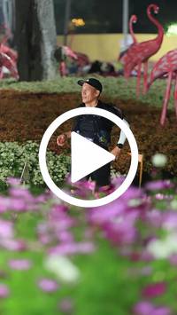 BIB:  <button type="button" onclick="openModal(27590049)" class="btn btn-primary btn-sm float-right" data-toggle="modal" data-target=".modal-high-quality">
                <i class="fa fa-download"></i> Download
                </button>